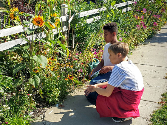 Buffalo nonprofits are transforming empty spaces into thriving gardens. 