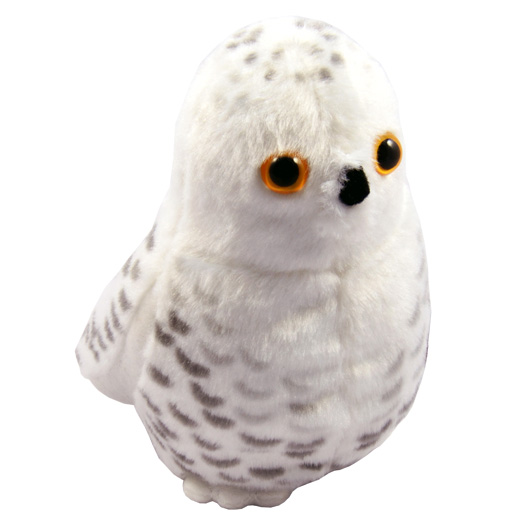 Snowy Owl