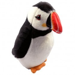 Atlantic Puffin