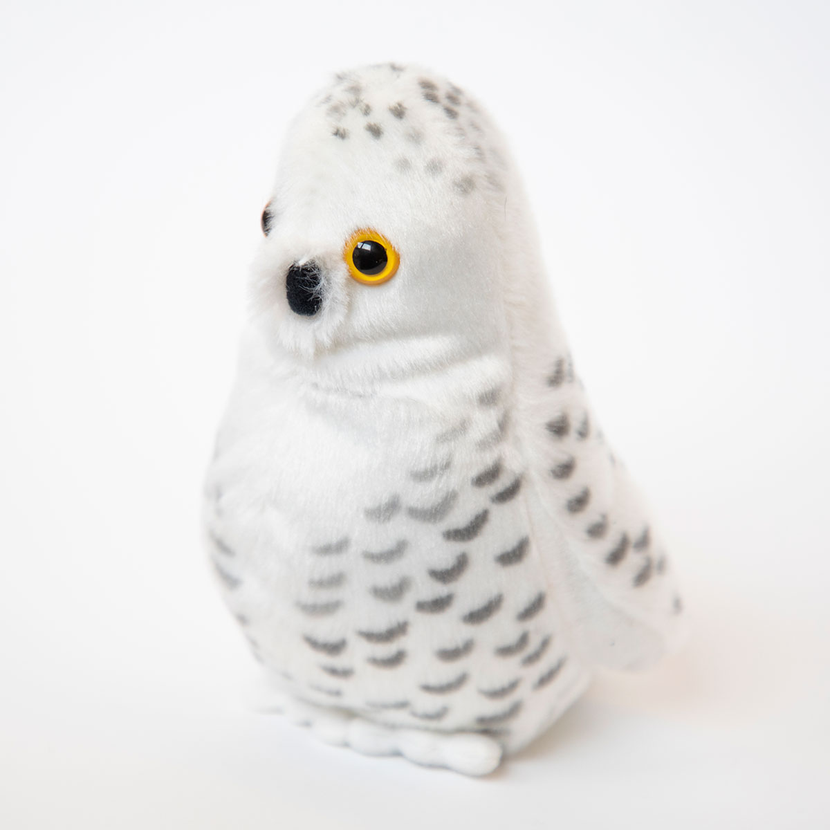 Snowy Owl