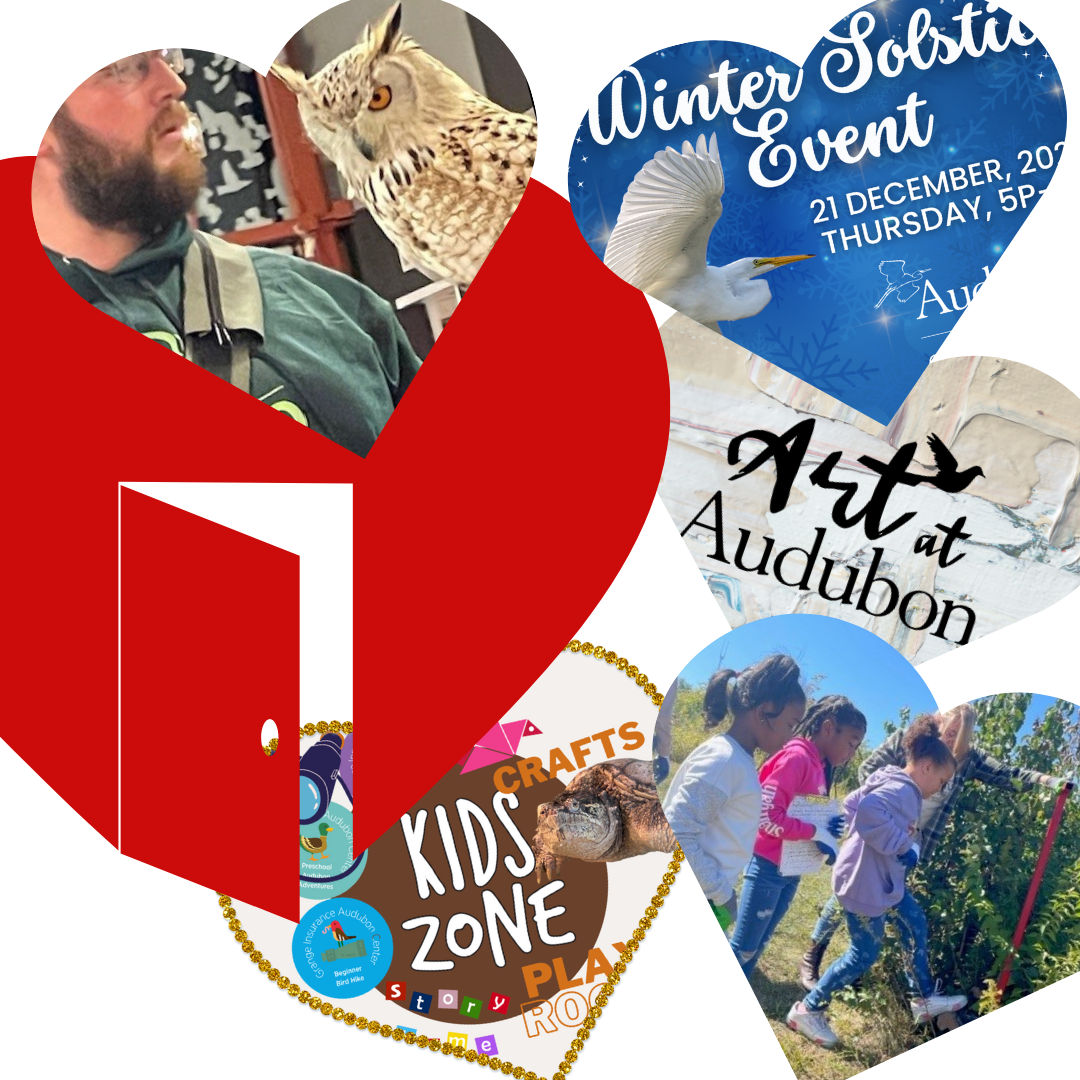 National Audubon Society