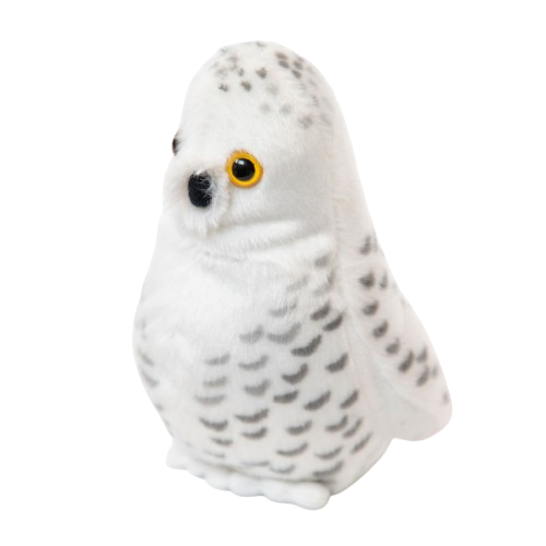 Snowy Owl