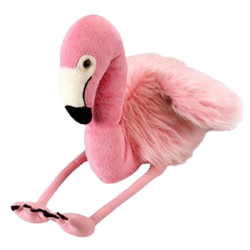 American Flamingo