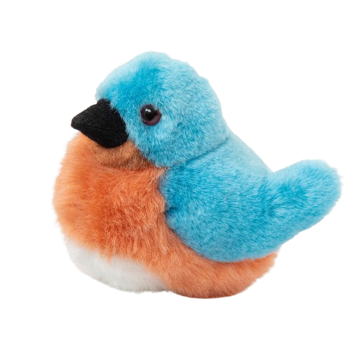 Eastern Bluebird