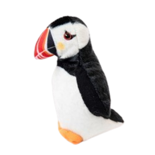 Atlantic Puffin