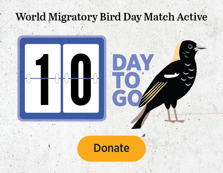 1 Day to go