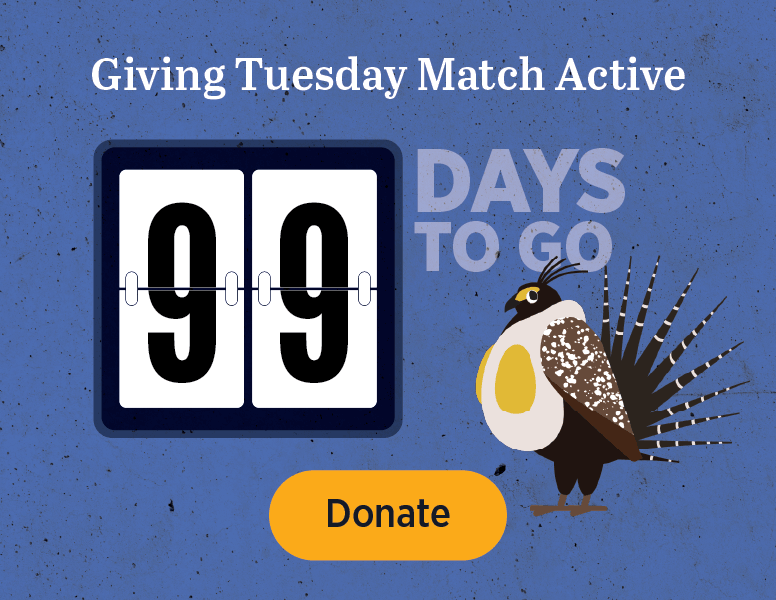 Giving Tuesday Match Active [Donate]