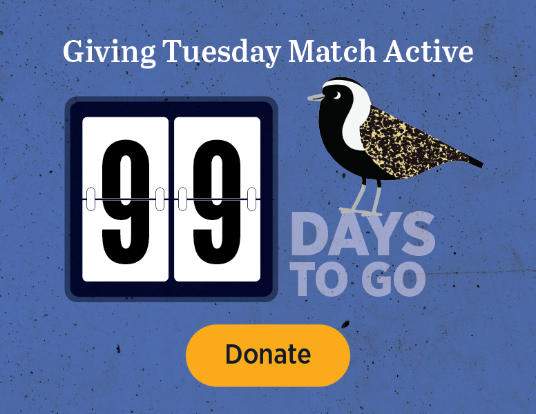 Giving Tuesday Match Active [Donate]
