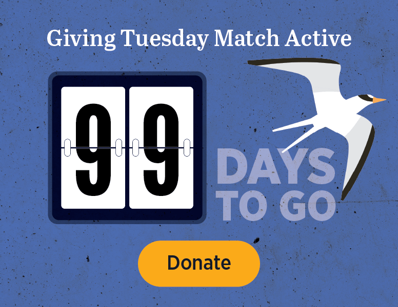 Giving Tuesday Match Active [Donate]