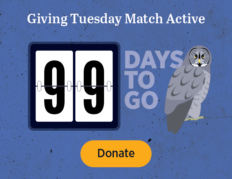 Giving Tuesday Match Active [Donate]