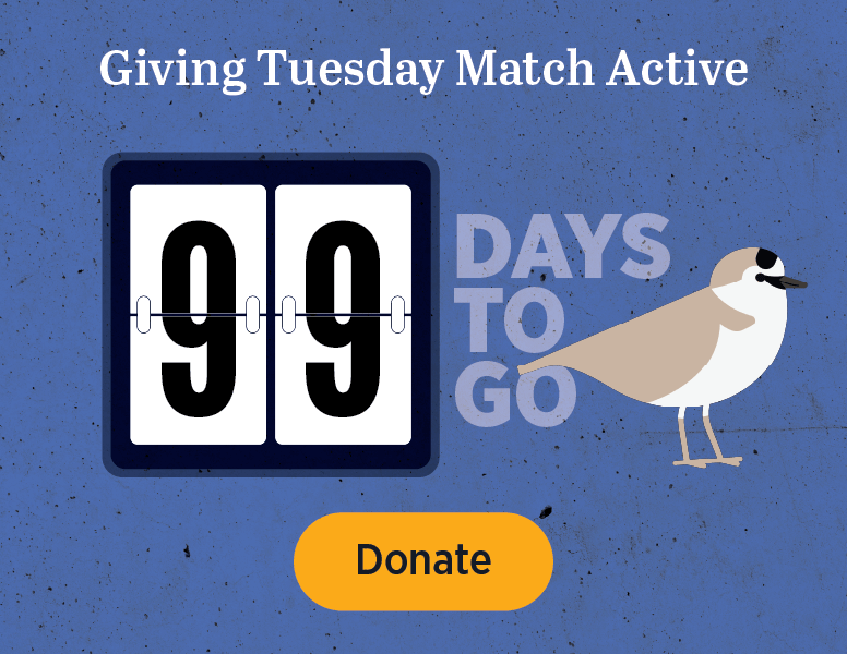 Giving Tuesday Match Active [Donate]