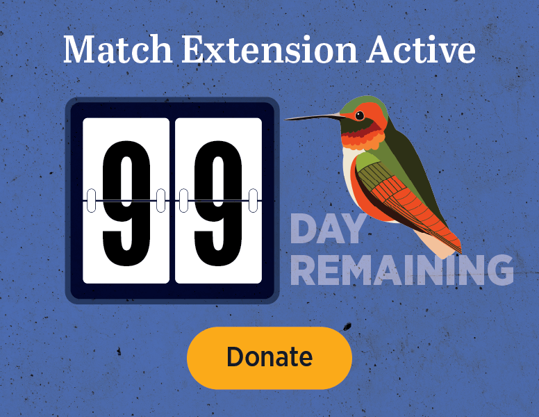 Match Extension Active [Donate]