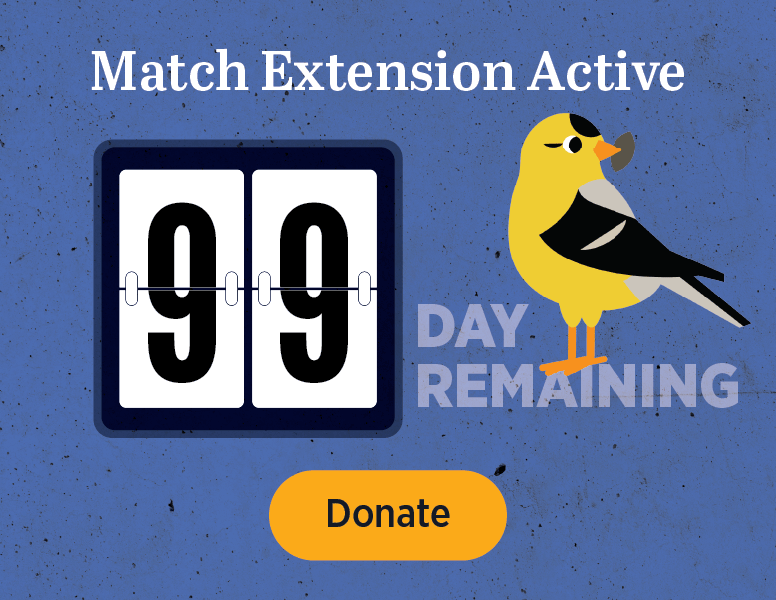 Match Extension Active [Donate]