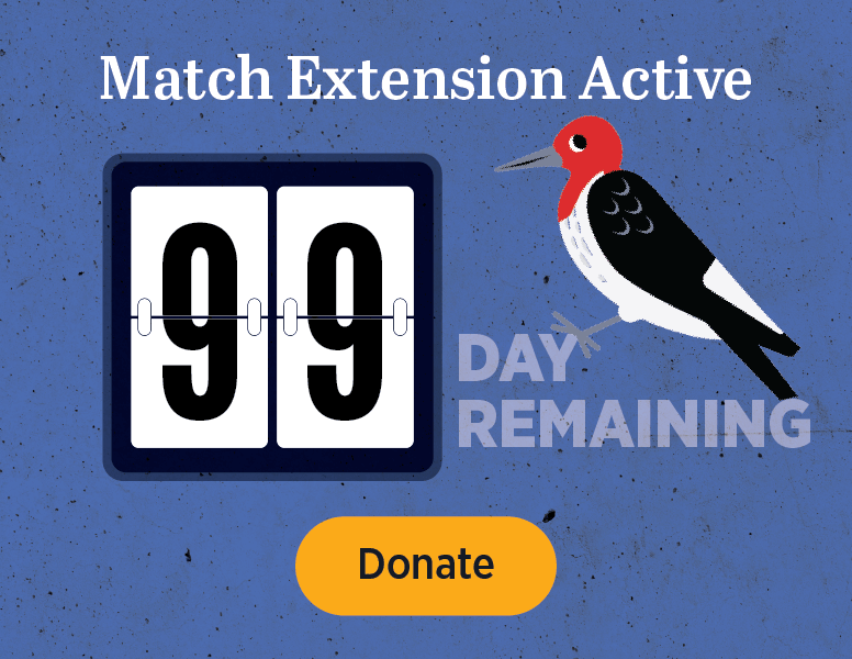 Match Extension Active [Donate]