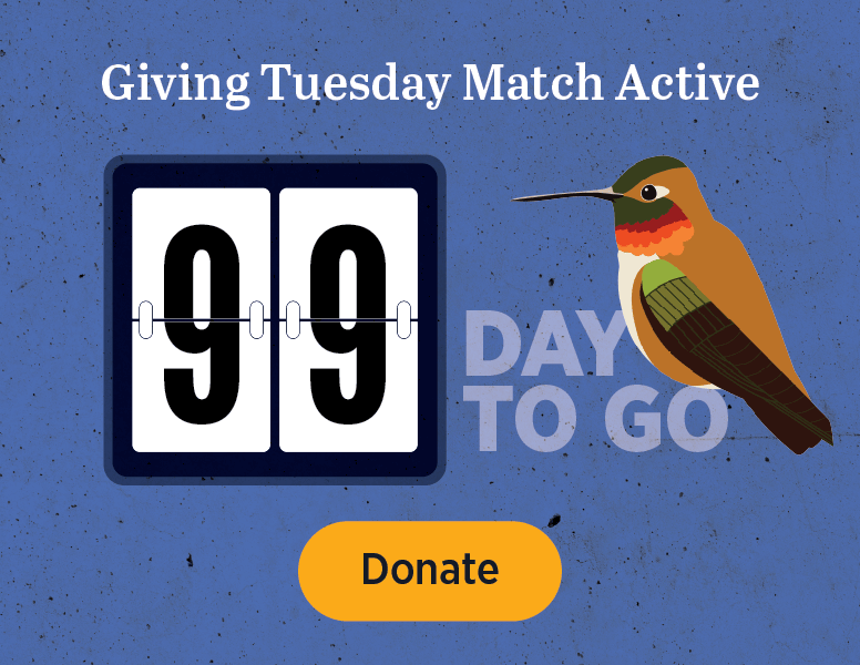 Giving Tuesday Match Active [Donate]