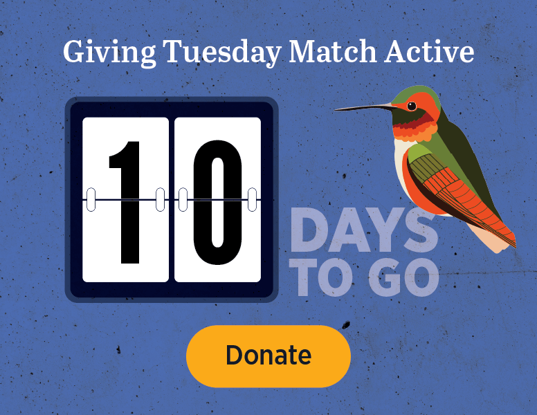 Giving Tuesday Match Active [Donate]