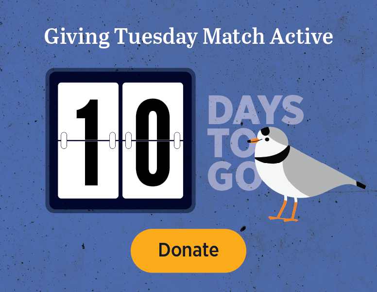 Giving Tuesday Match Active [Donate]