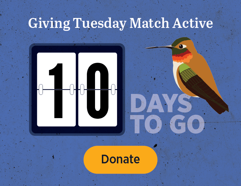 Giving Tuesday Match Active [Donate]