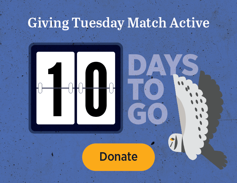 Giving Tuesday Match Active [Donate]