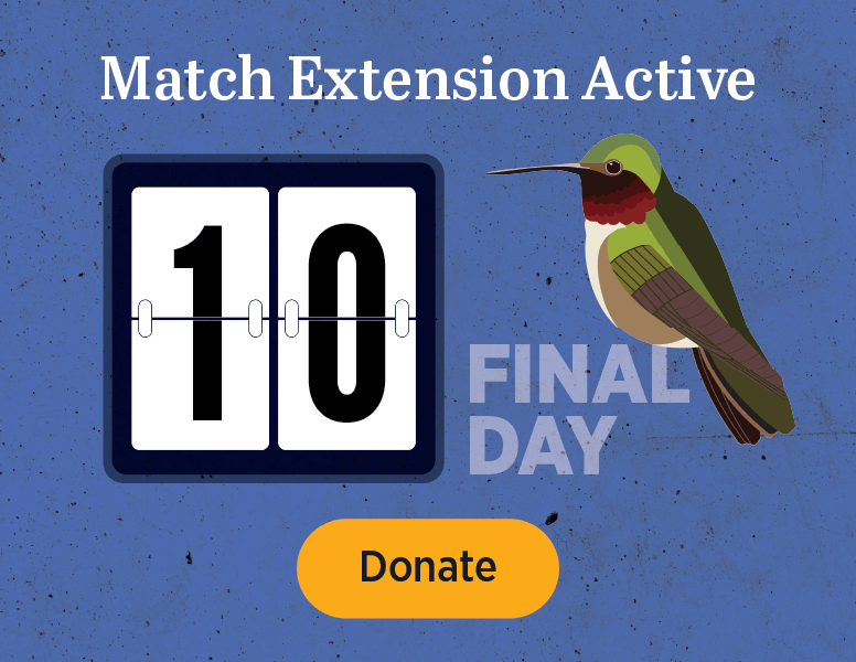 Match Extension Active [Donate]