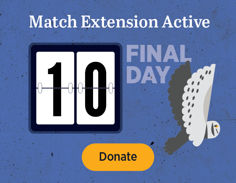 Match Extension Active [Donate]