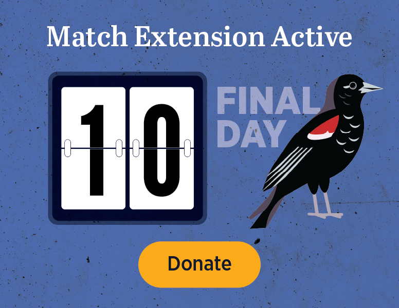 Match Extension Active [Donate]