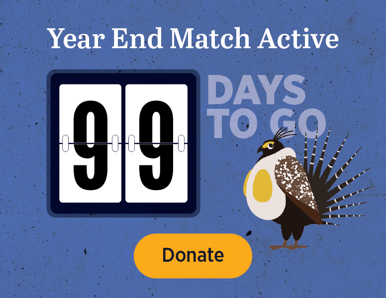 Year End Match Active