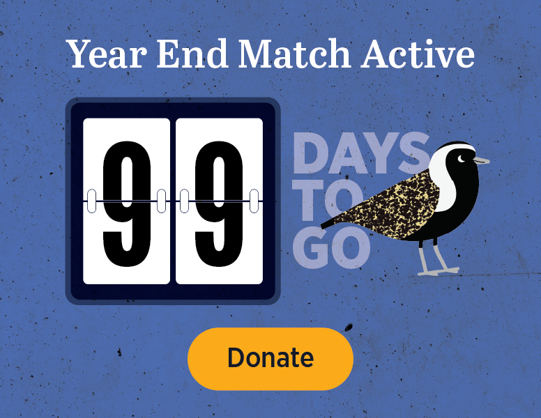 Year End Match Active