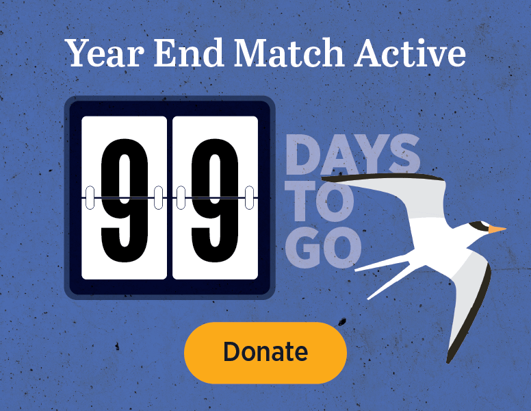 Year End Match Active