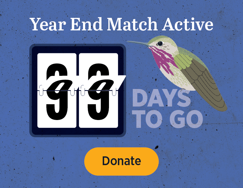 Year End Match Active