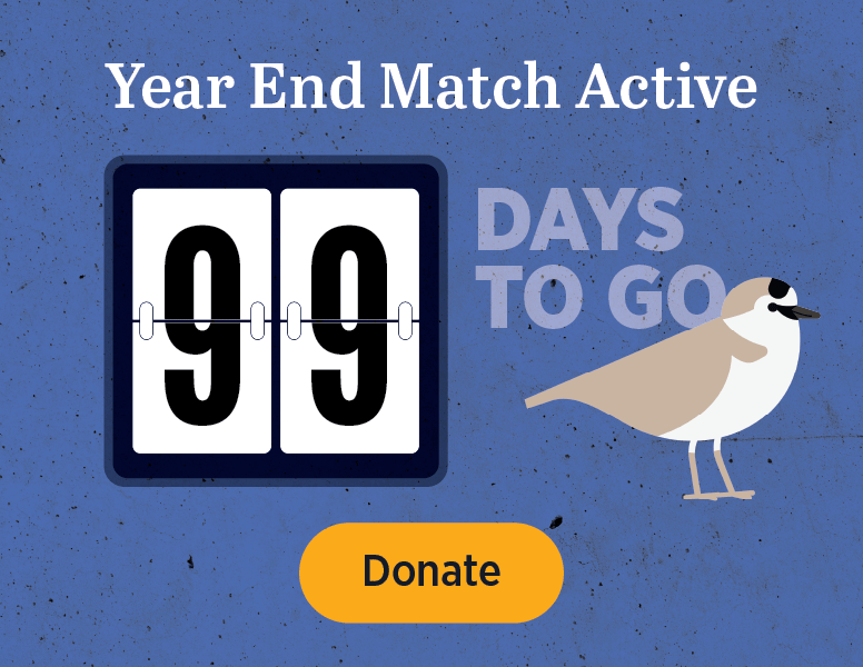 Year End Match Active