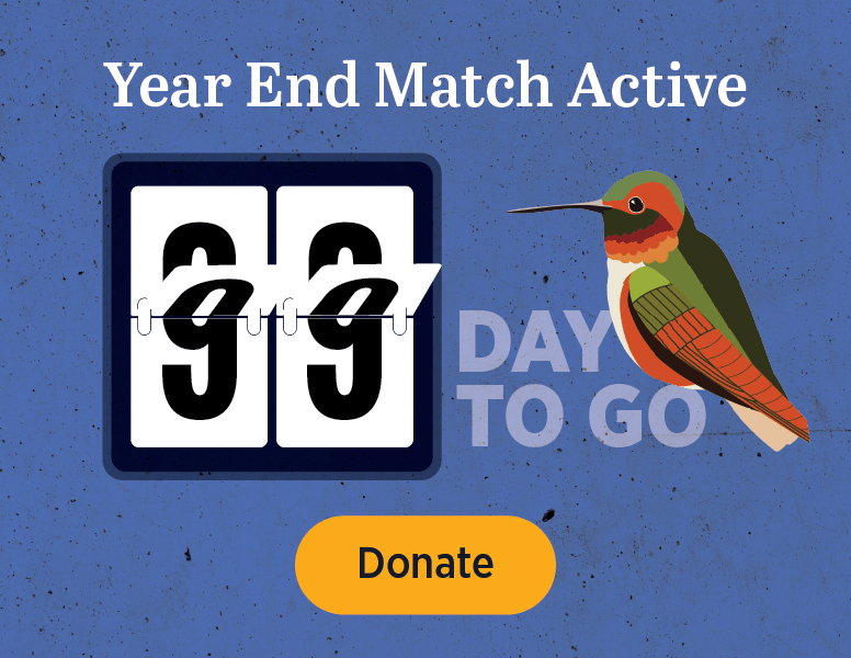 Year End Match Active