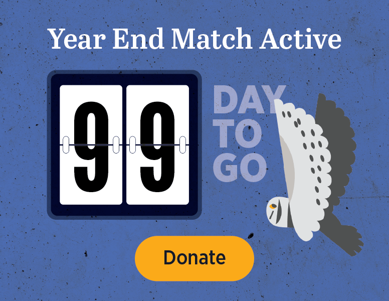 Year End Match Active