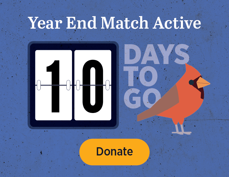 Year End Match Active