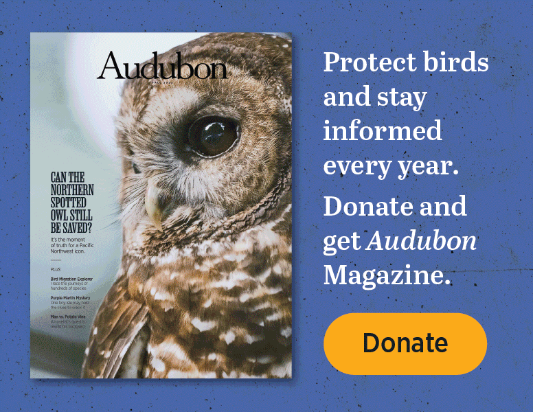 Audubon magazine