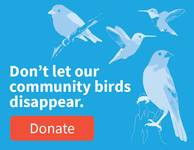 Don't let pour community birds disappear; Illustrations of birds