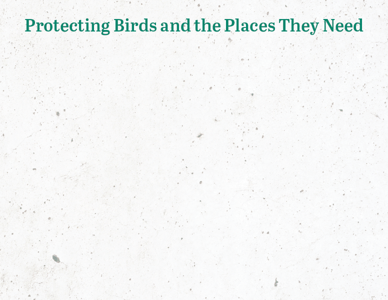 Audubon 120 years.