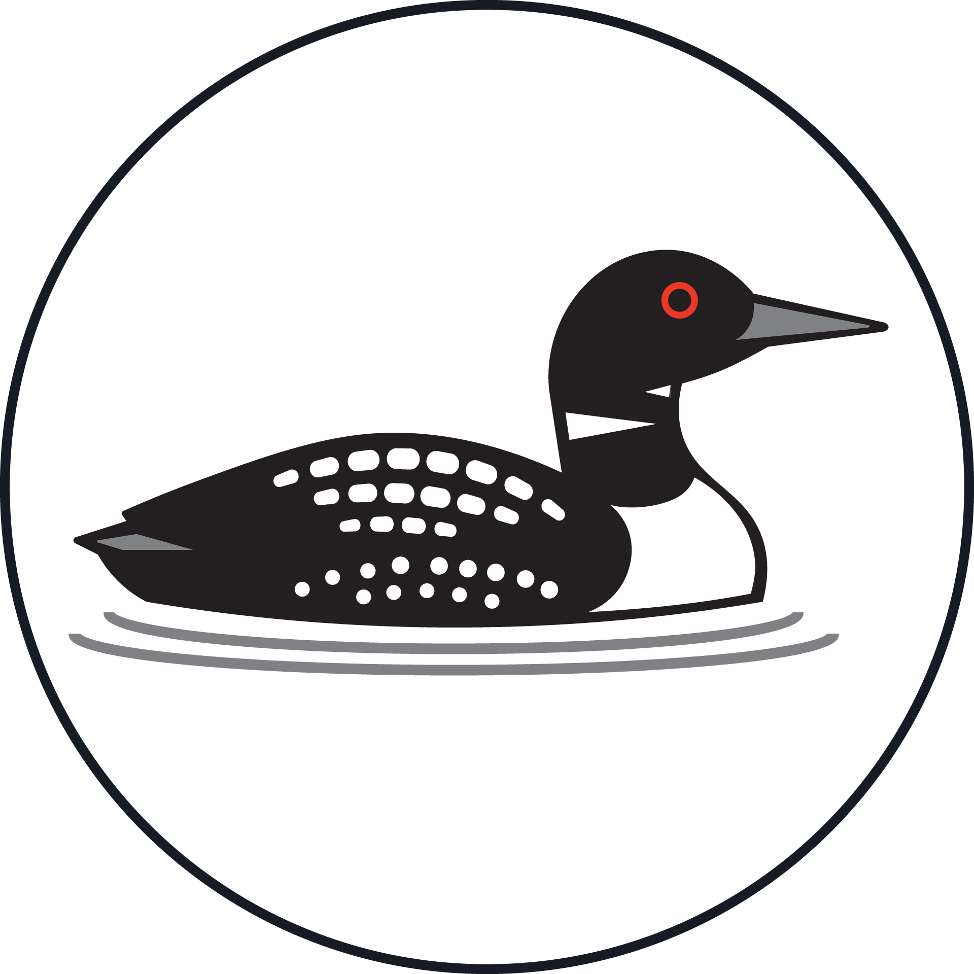 Common Loon Icon.