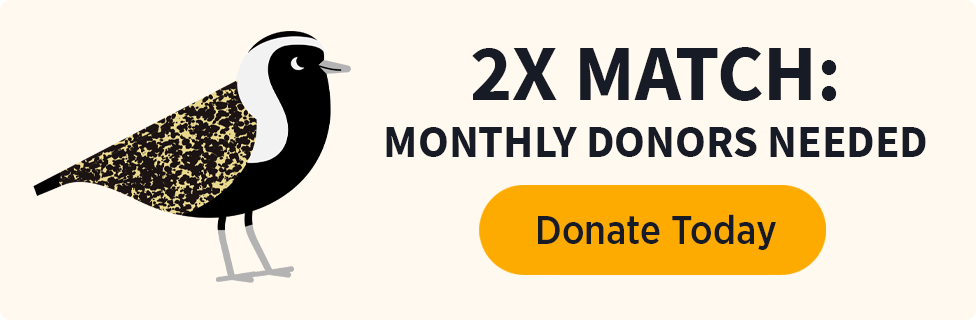 2X Match: Monthly Donors Needed [Donate Today]