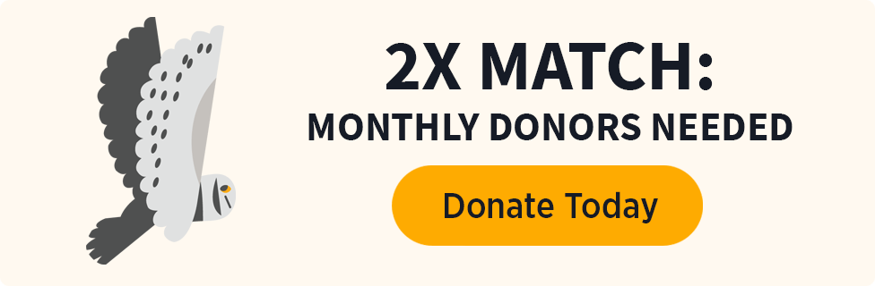 2X Match: Monthly Donors Needed [Donate Today]