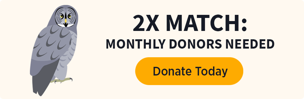 2X Match: Monthly Donors Needed [Donate Today]