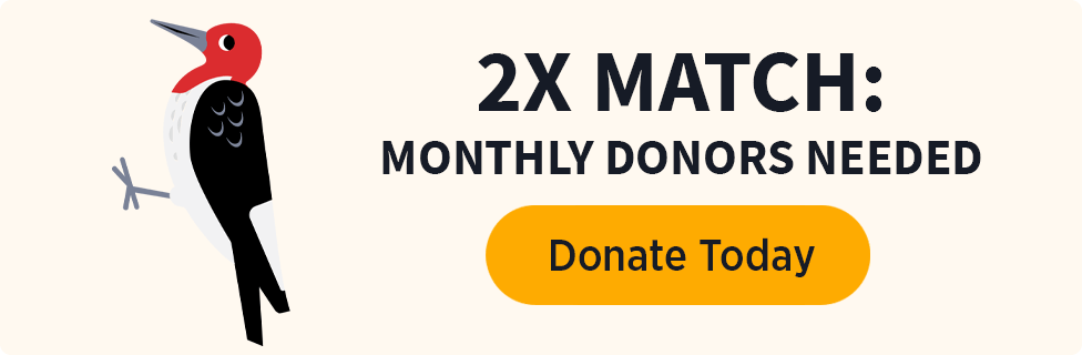 2X Match: Monthly Donors Needed [Donate Today]