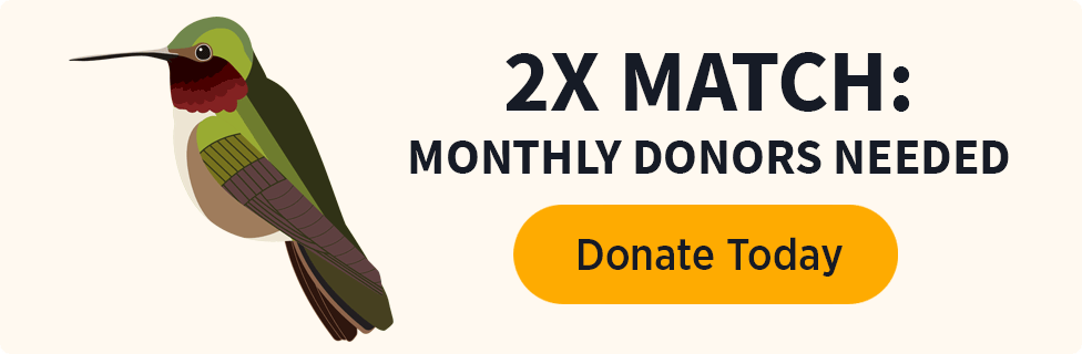 2X Match: Monthly Donors Needed [Donate Today]