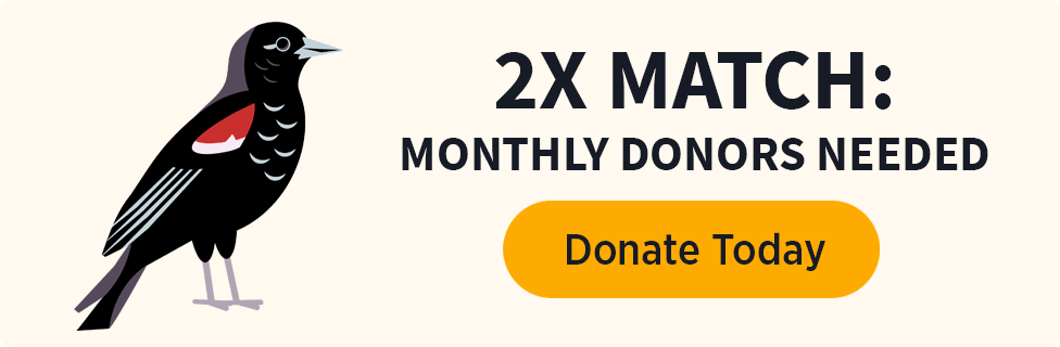2X Match: Monthly Donors Needed [Donate Today]