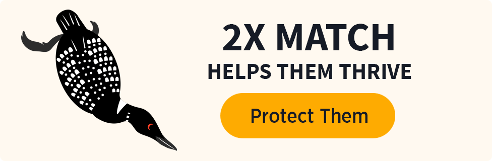 2x Match. Helps them thrive. [Protect them]