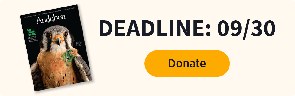 Deadline 9/30