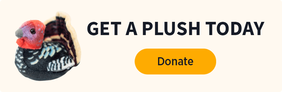 Get a Plush today [Donate]