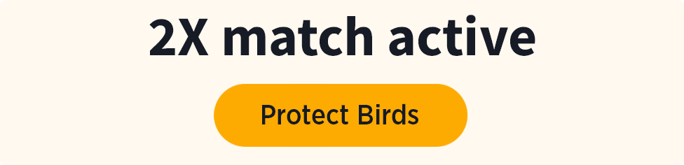 2x match active