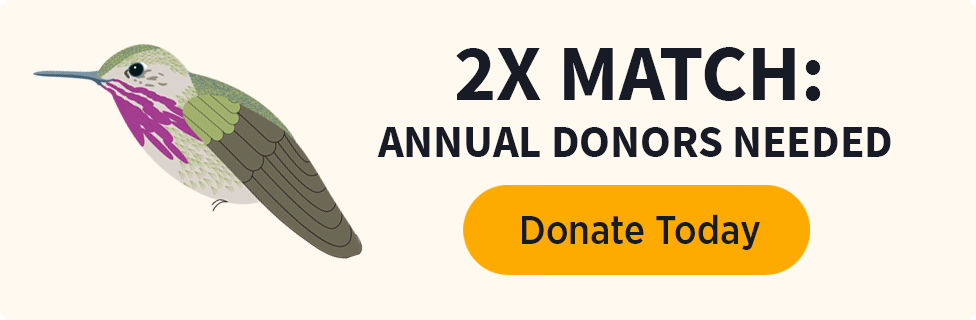 2x Match: Annual Donors Needed [Donate Today]