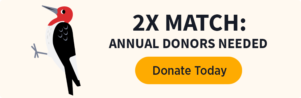 2x Match: annual Donors Needed